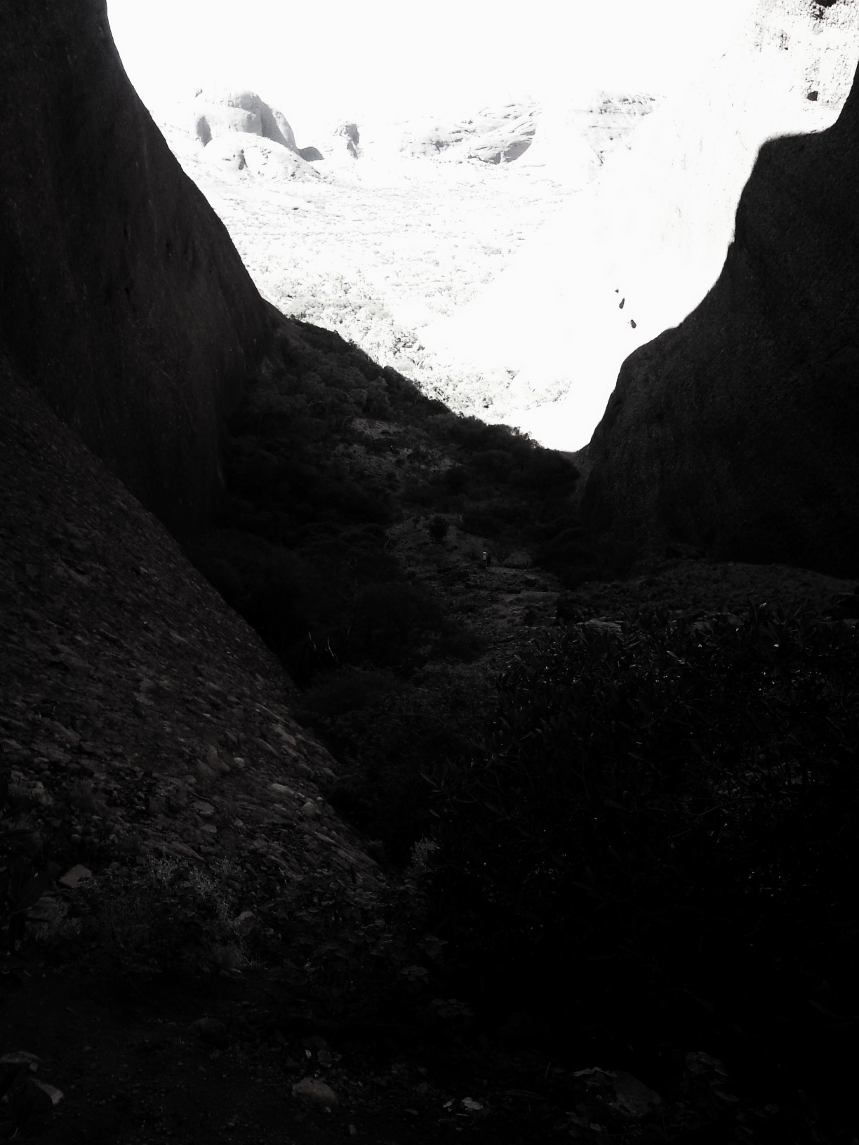 C360_2011-07-19 12-26-05.jpg