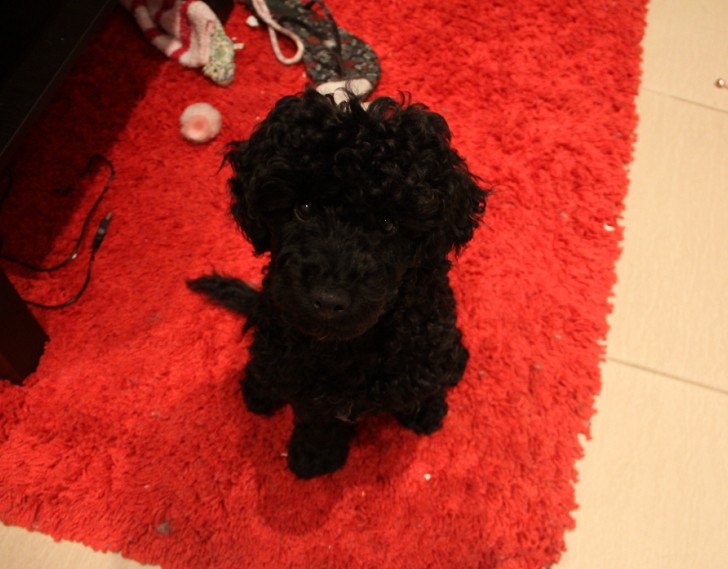QQͼ20110817110227.jpg