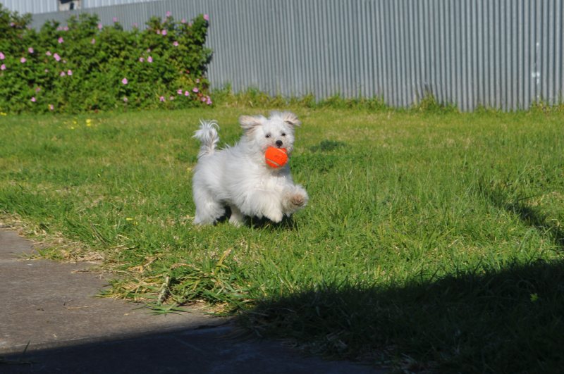 DSC_5026.JPG