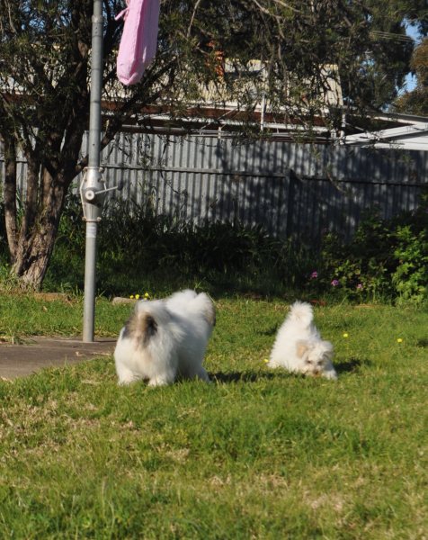DSC_5046.JPG