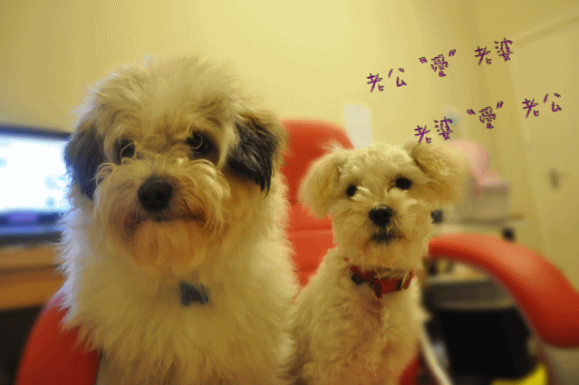 DSC_5168_conew2.gif