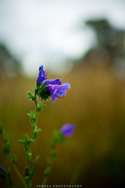 ��ѹ��_IMG_5734-3.jpg