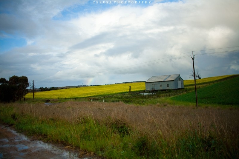 ��ѹ��_IMG_5800-3.jpg