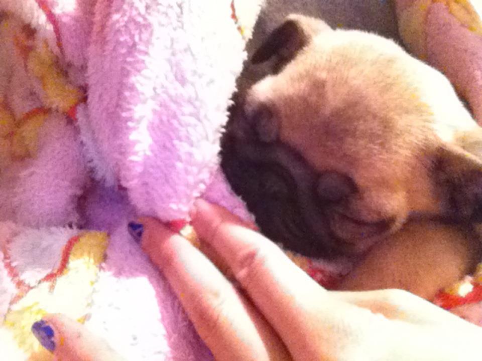 �ϵ���Ҫ˯��lor