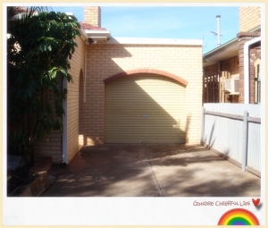 ���� ����