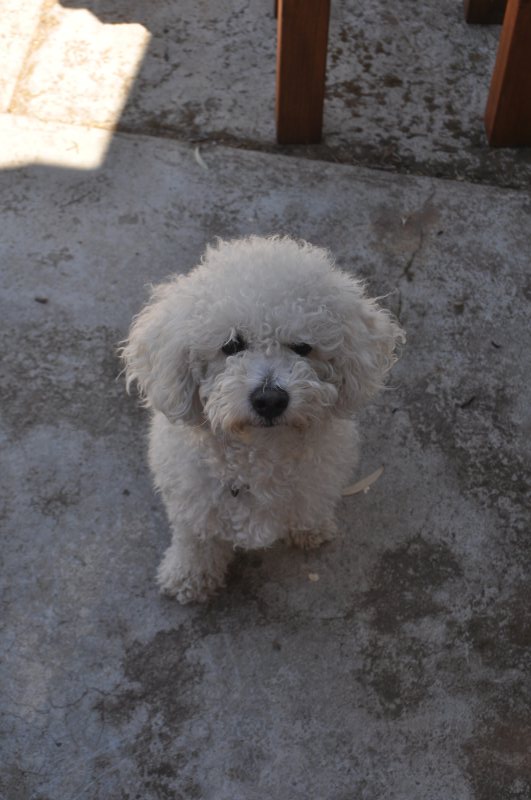 DSC_8158.JPG