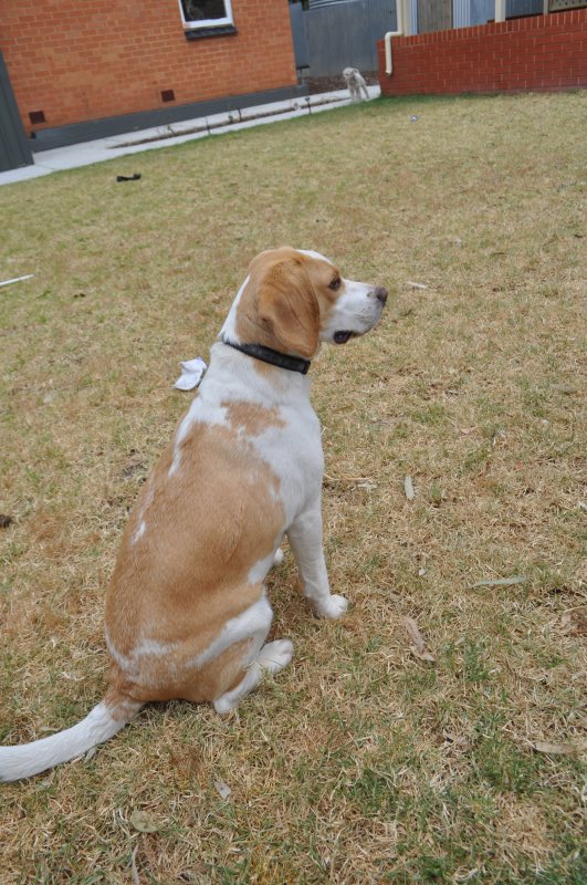 DSC_8264.JPG