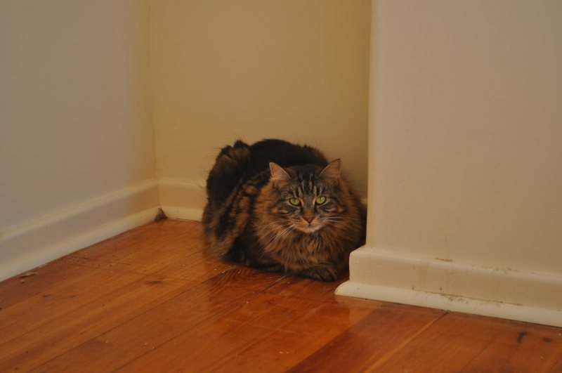 DSC_8295.JPG