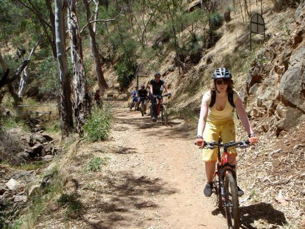 Mount-Lofty-Descent-By-Mountain-Bike-Adelaide-S.A_large2.jpg