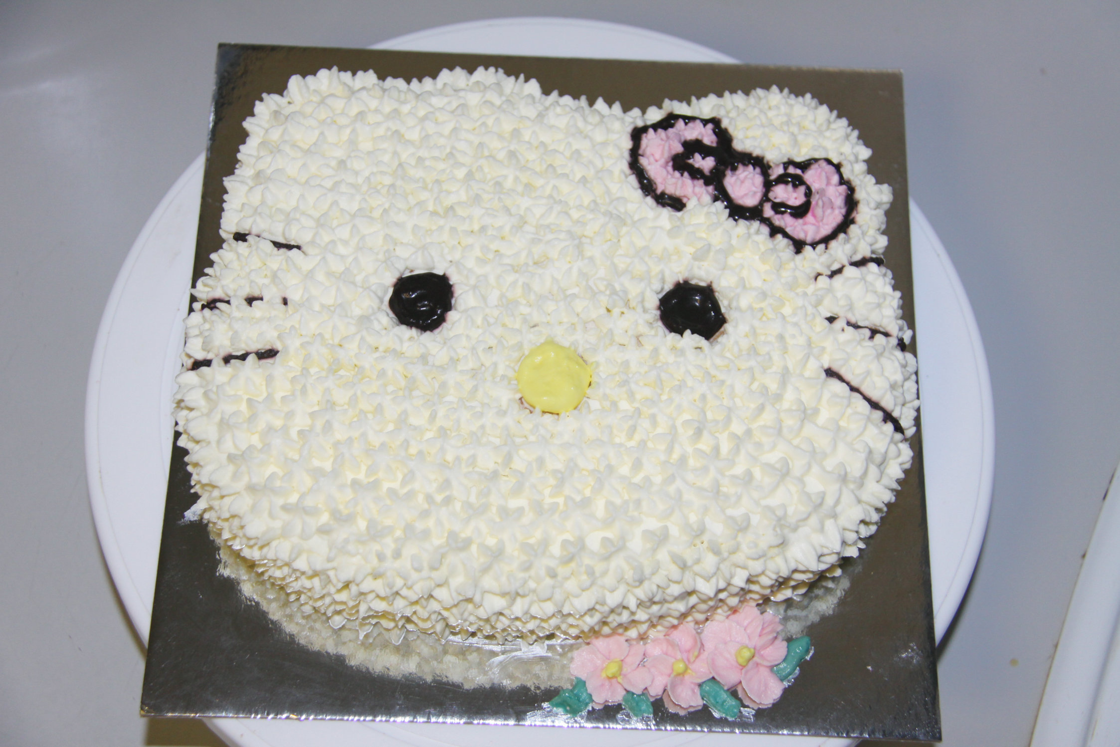 hello kitty2