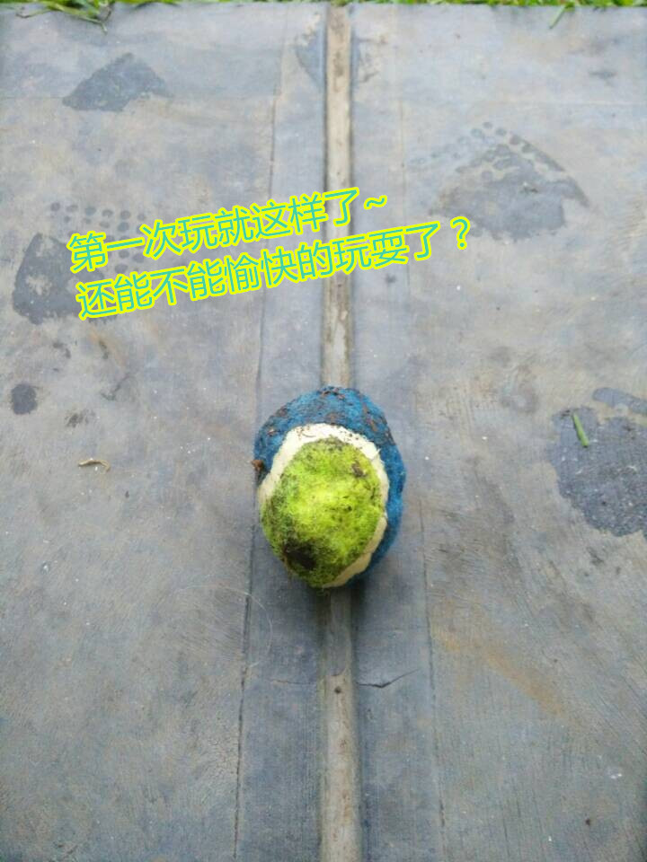 QQͼƬ20140630172302_.jpg