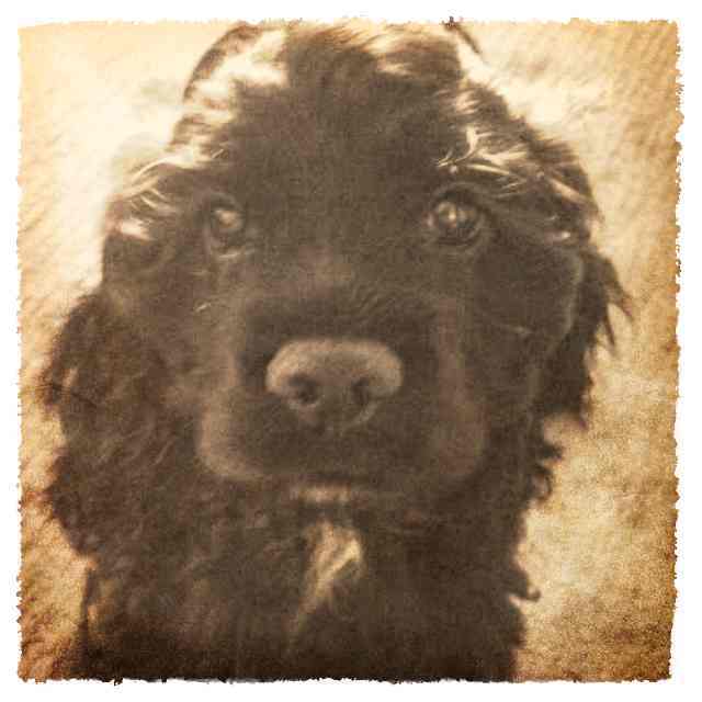 �ֻ���Ƭ 034.png