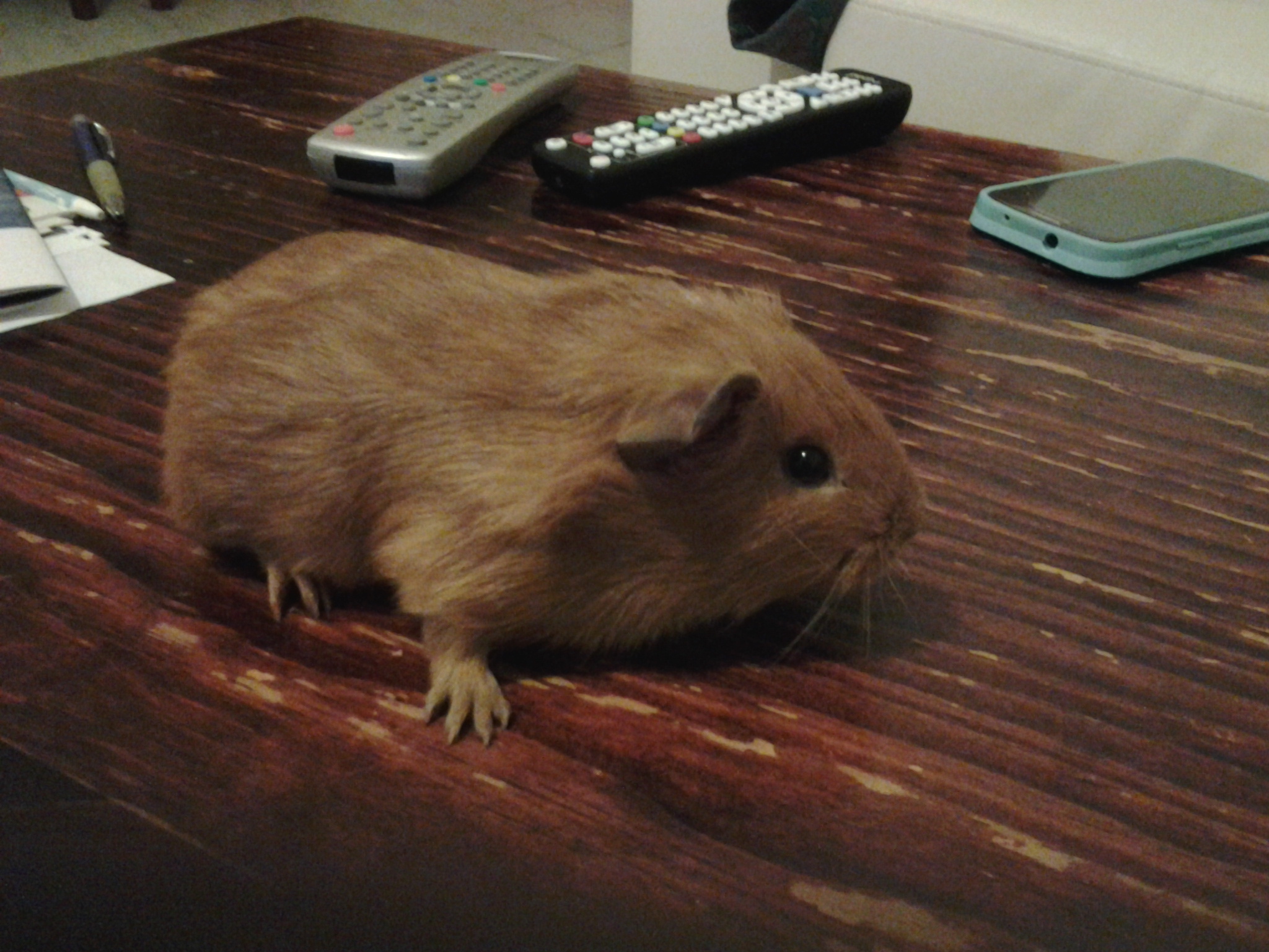 ���i��һ�ӡ��