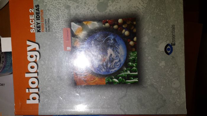 ������Ǯ25�� ����α�������Ӣ���ĸ�������˵��͸�Ȿ�̿��������ûʲô������