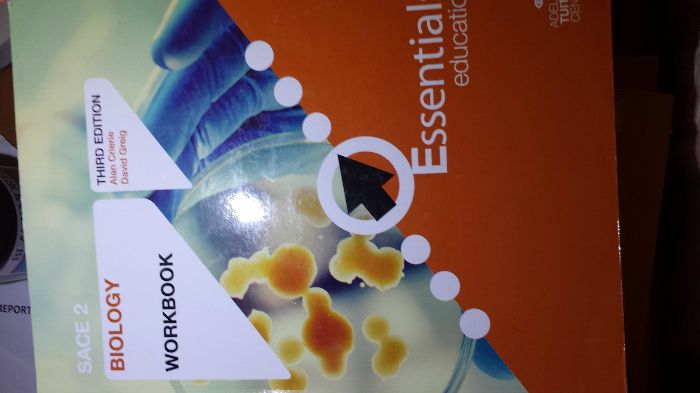 ������Ǯ15�� ����work book����saceָ����ϰ�ᣬÿһ�¶�����ϸ��������ϵ