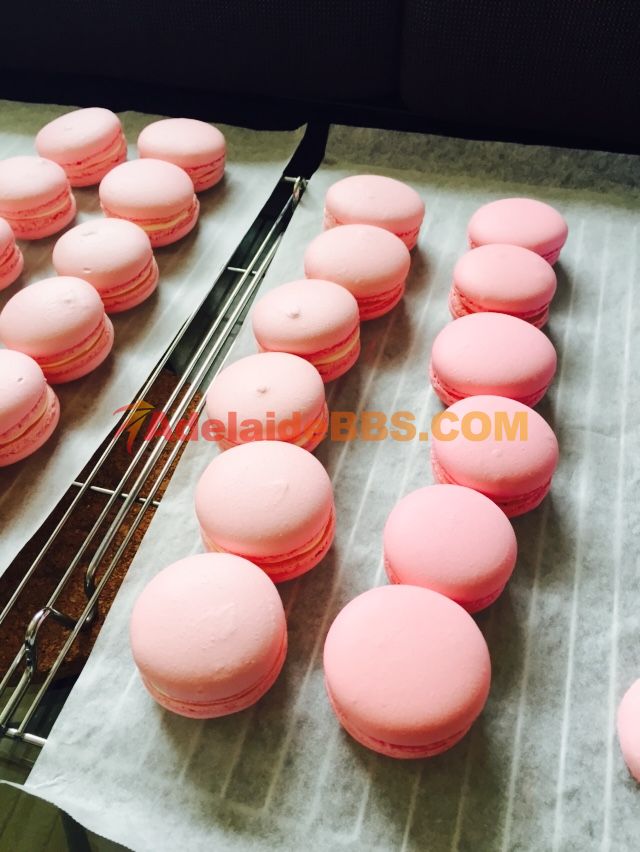 õ��������