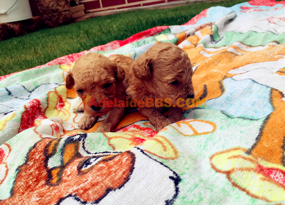 Screen Shot 2016-02-22 at 10.11.14 PM.png