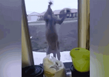 b48fee0c78d1d8836b9fb52c5ea20505.gif