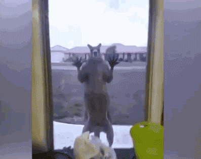 4545e41614af71d6d9dd7fd1a1cbc4ad.gif