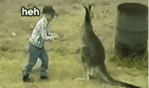 f1041159972231585f8896c3f8631b85.gif