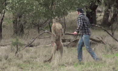 045516d3e064f3c2bd802ac6f478856e.gif