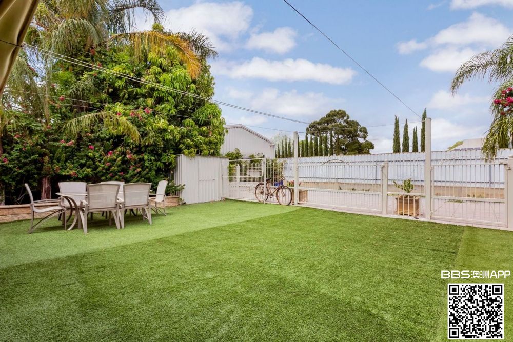 Backyard 3 a.jpg