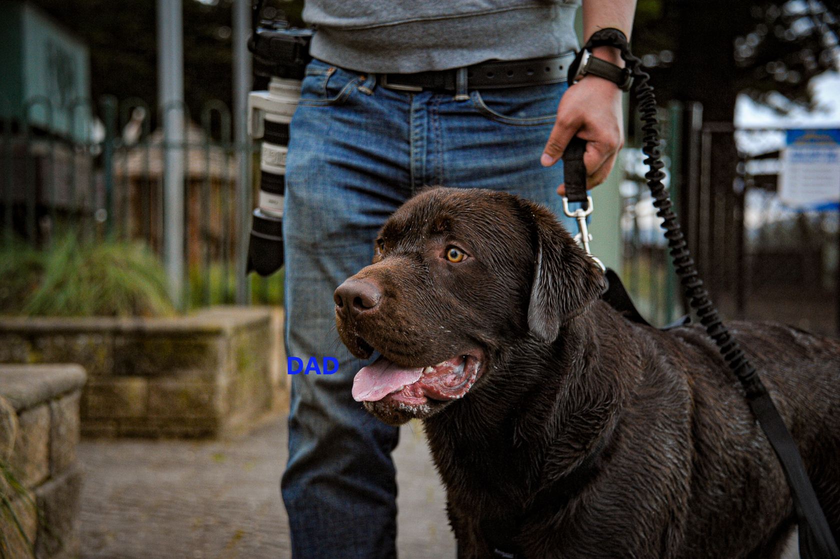 DSC_1917-2.jpg