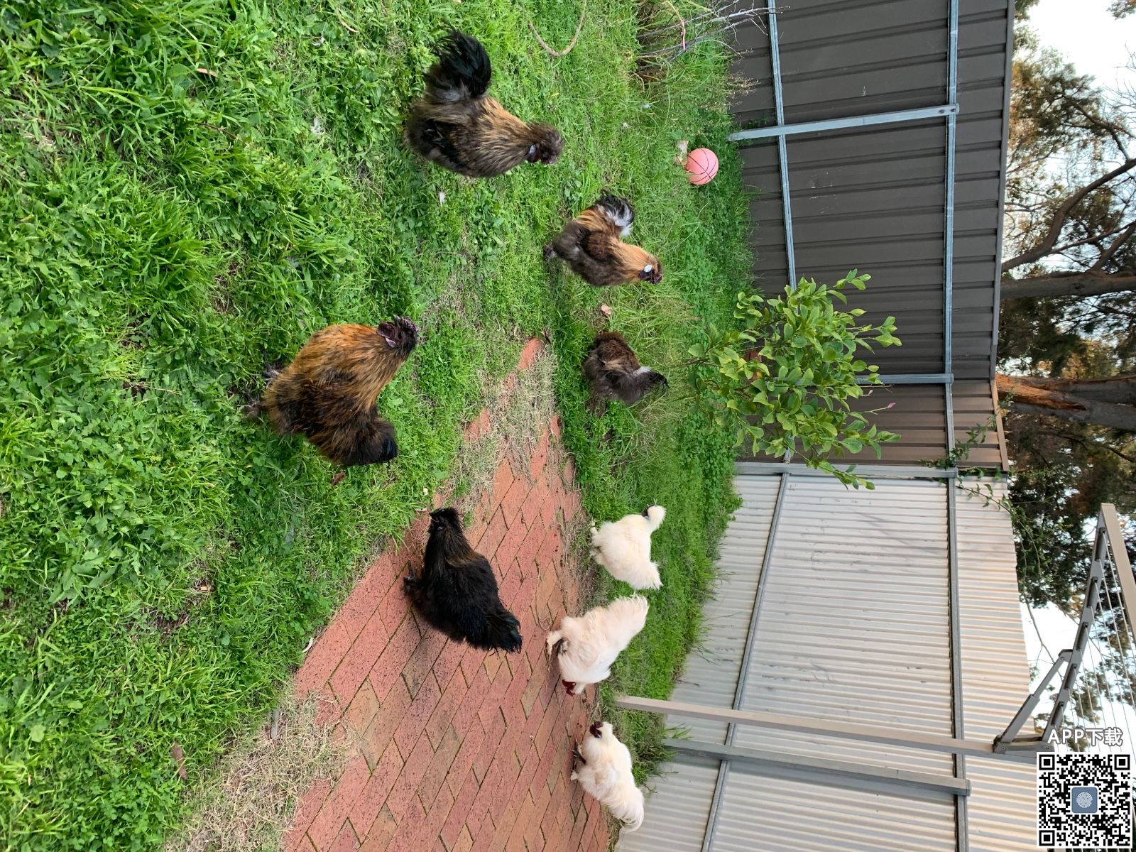 ���ֻ��ϴ�