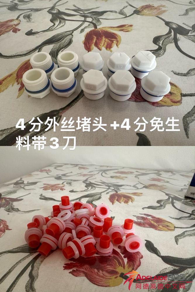 IMG_8047.jpeg
