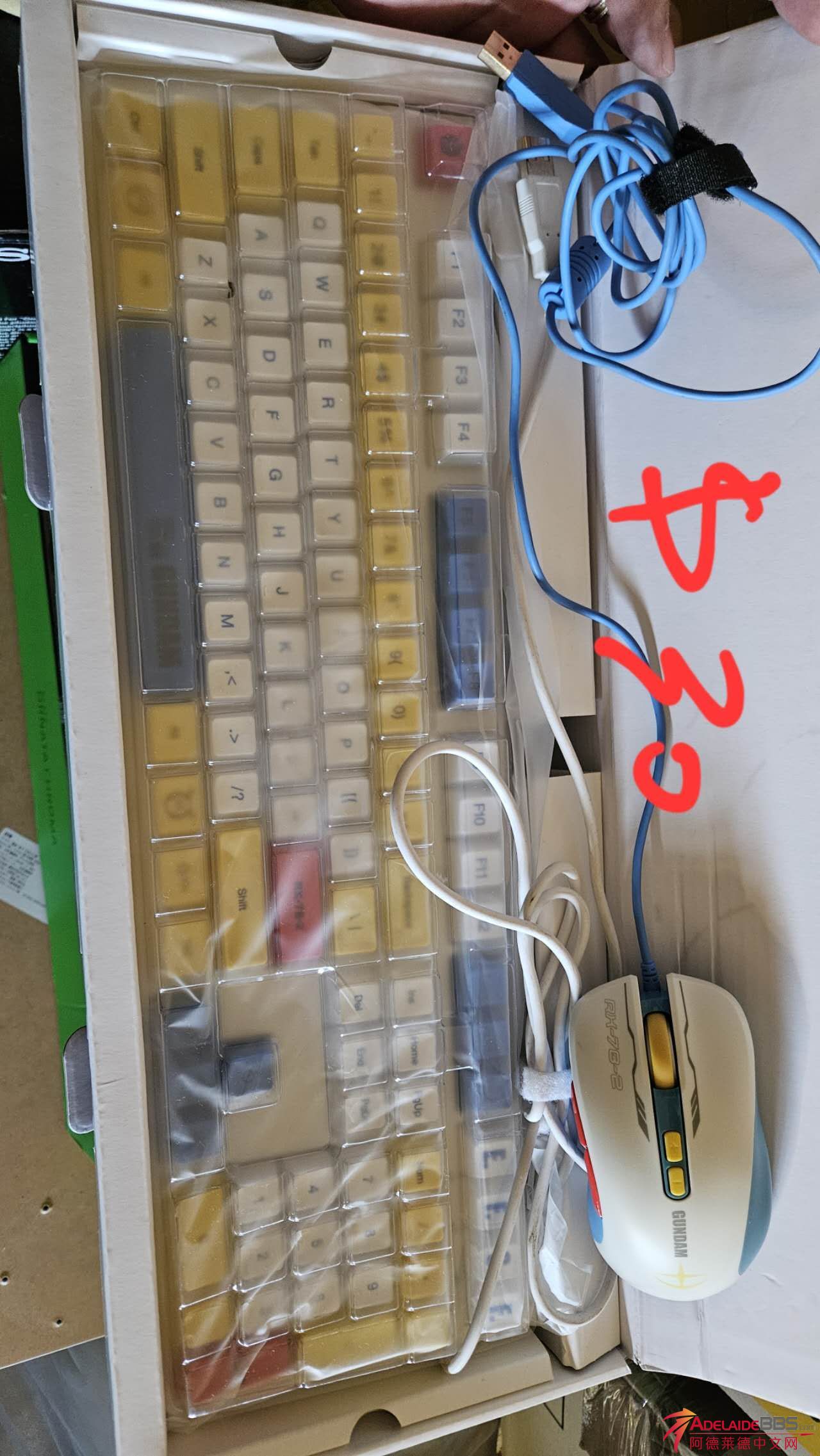 WechatIMG9.jpeg