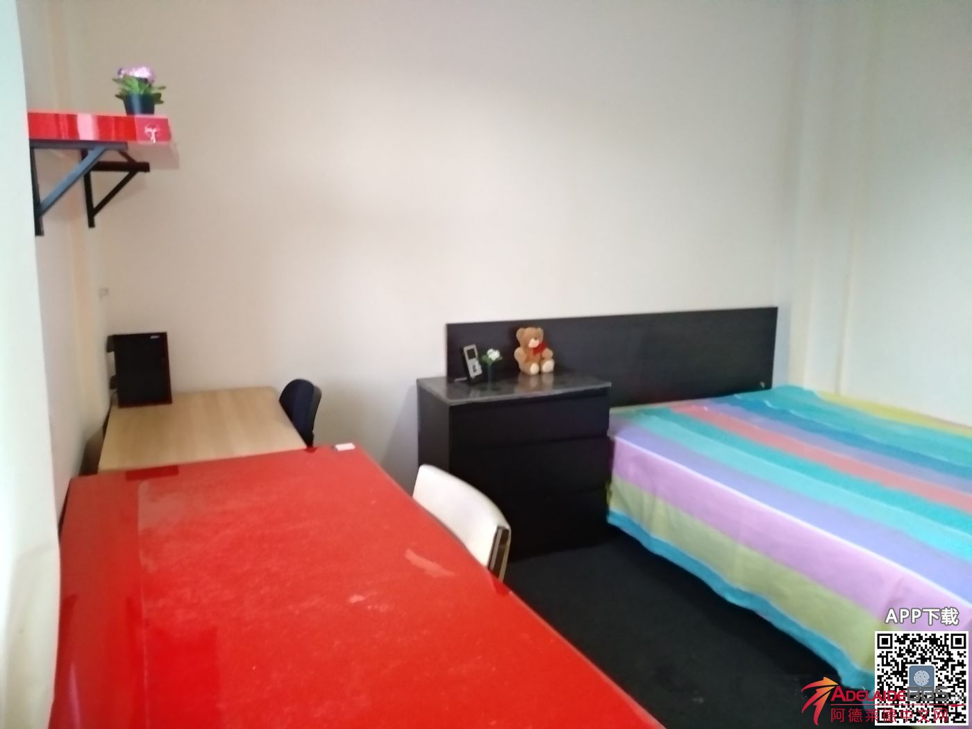 013050f1ppe7q75b1m51hz.jpg