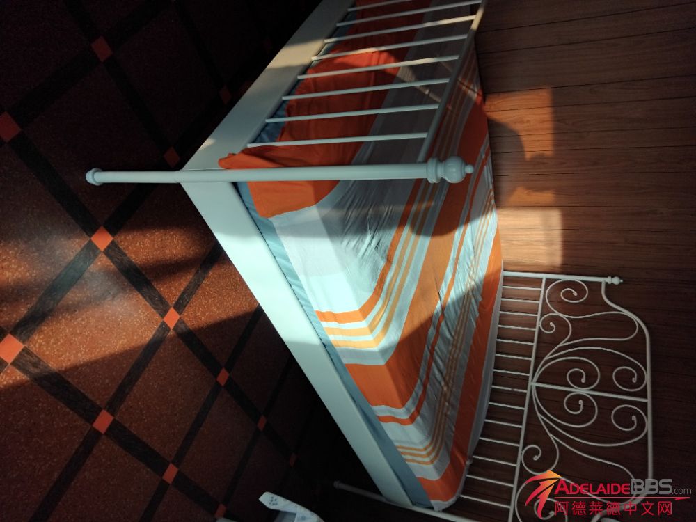 IMG_20260608_160805.jpg