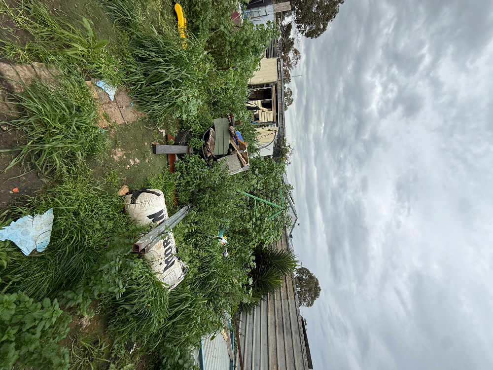 IMG_0136.jpeg