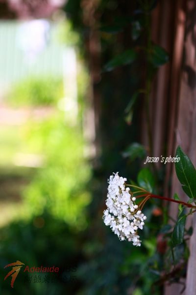 IMG_3374.jpg