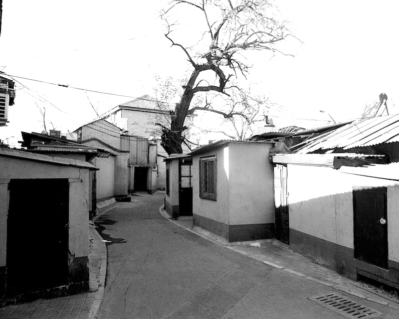 20090109-Scan-090109-0031.jpg