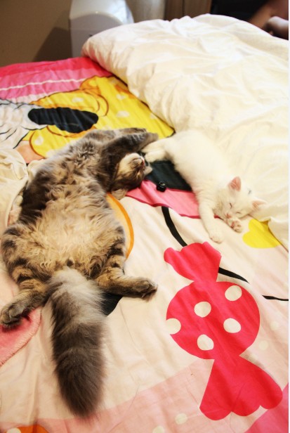 �¹��� 104.jpg