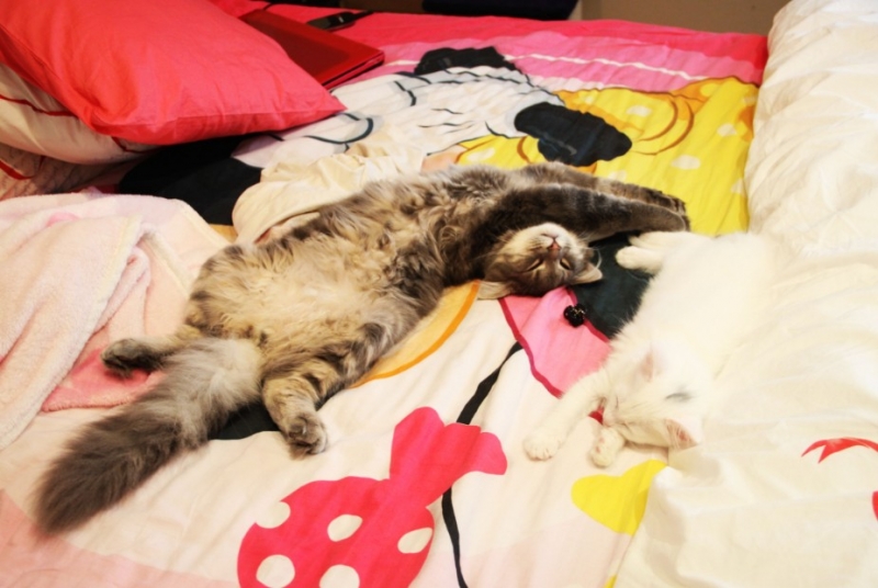 �¹��� 106.jpg