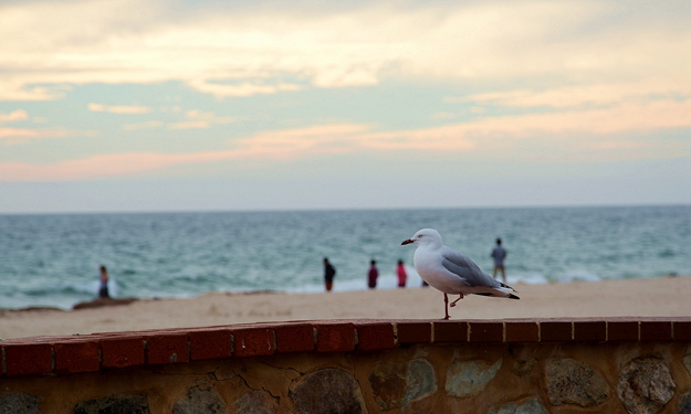 DSC_0195_.jpg
