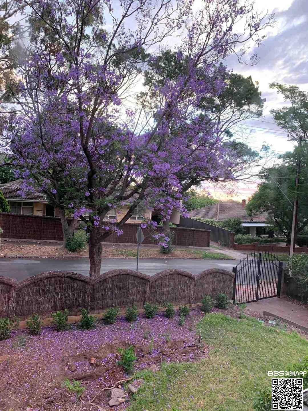 ����2_����