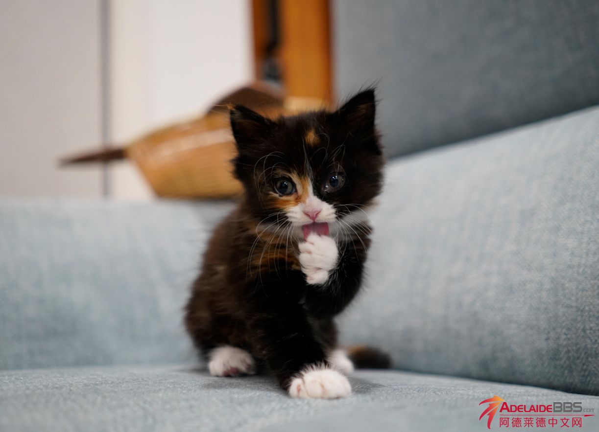 WeChat Screenshot_20230420160320.png