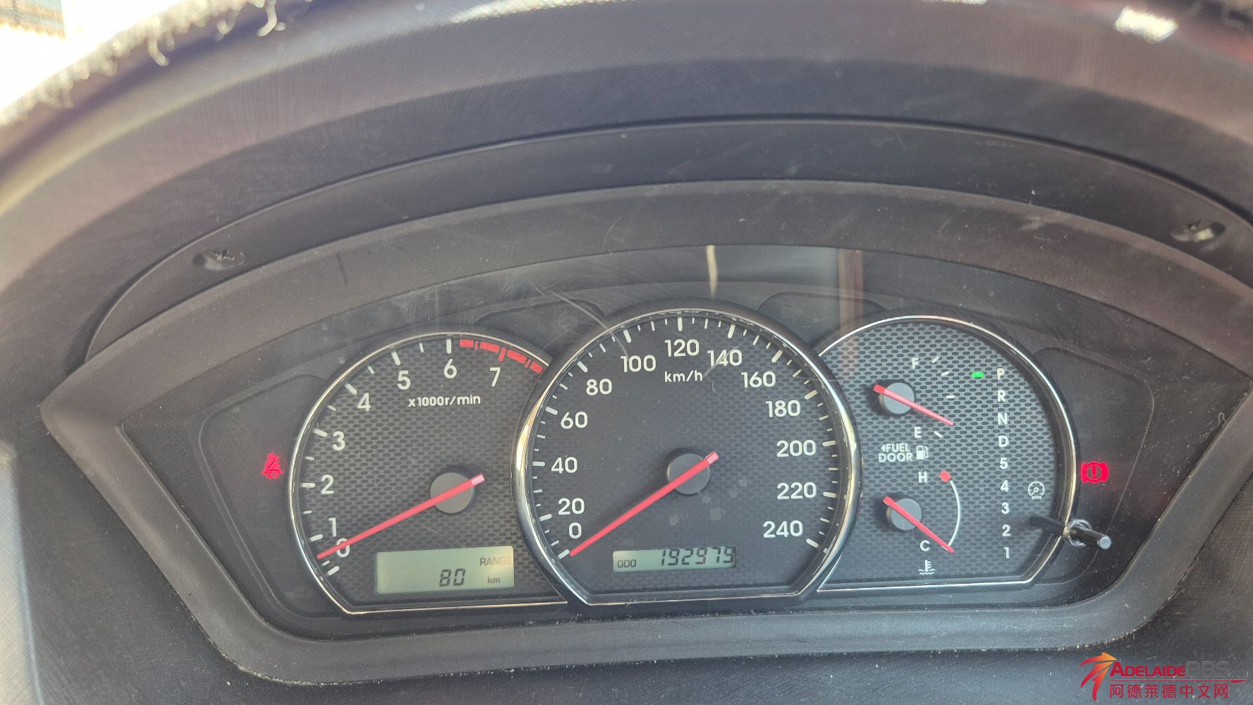1000020856.jpg